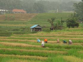 photo coins arrondis