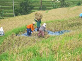 photo coins arrondis