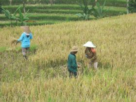 photo coins arrondis