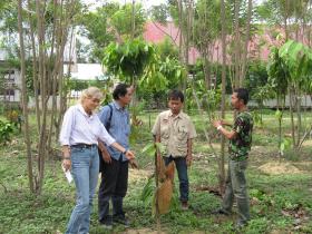 photo coins arrondis