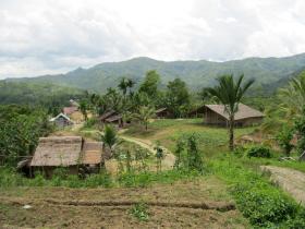 photo coins arrondis