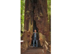 photo coins arrondis