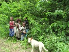 photo coins arrondis