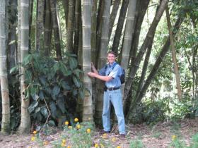 photo coins arrondis