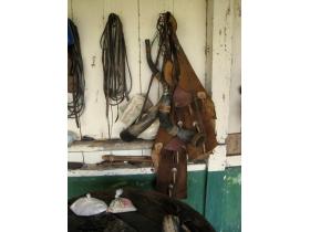 photo coins arrondis