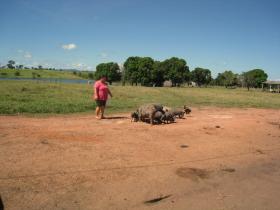 photo coins arrondis