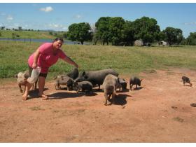 photo coins arrondis