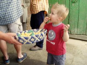 photo coins arrondis