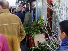 photo coins arrondis