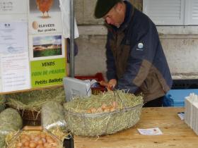 photo coins arrondis