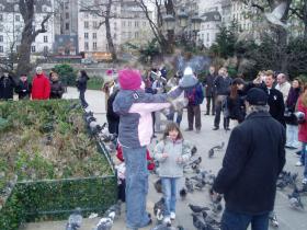 photo coins arrondis