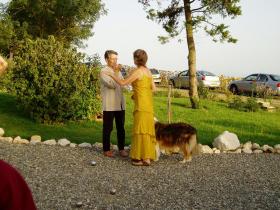 photo coins arrondis