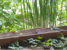 photo coins arrondis