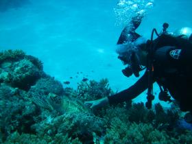 photo coins arrondis