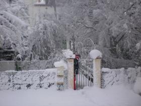 photo coins arrondis