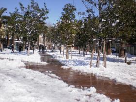 photo coins arrondis