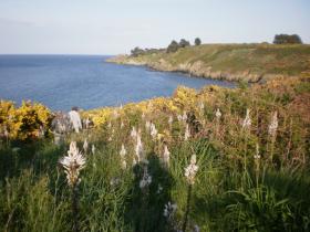 photo coins arrondis