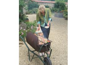 photo coins arrondis