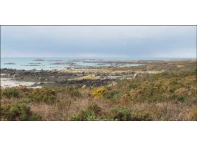 Sortie Ornitho sur l'île de Chausey, en février 20