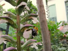 photo coins arrondis