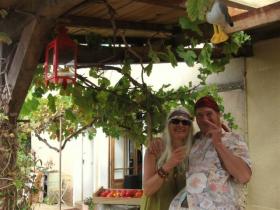 photo coins arrondis