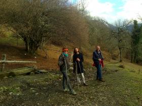 photo coins arrondis