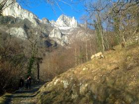 photo coins arrondis