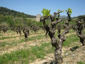 photo coins arrondis