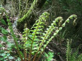 photo coins arrondis