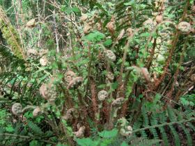 photo coins arrondis