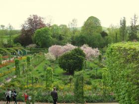 photo coins arrondis