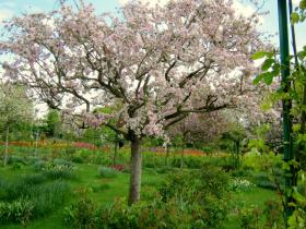 photo coins arrondis