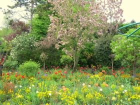 photo coins arrondis