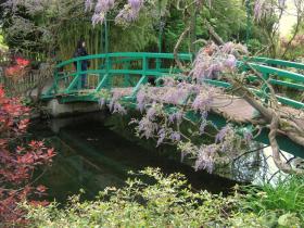 photo coins arrondis