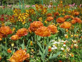 photo coins arrondis