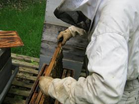 photo coins arrondis