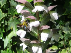 photo coins arrondis