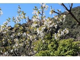 photo coins arrondis