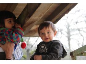 photo coins arrondis