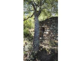 photo coins arrondis