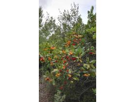 photo coins arrondis