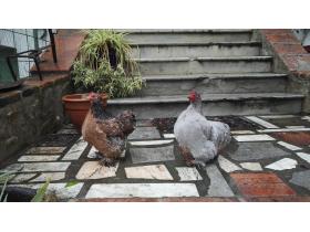 photo coins arrondis