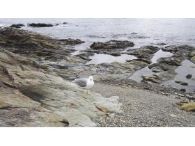 photo coins arrondis