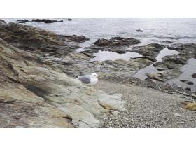 photo coins arrondis