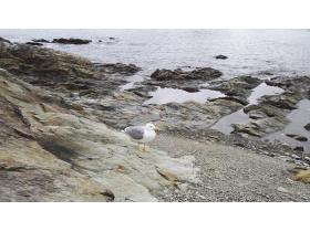 photo coins arrondis