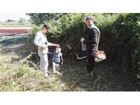 photo coins arrondis