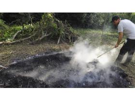 photo coins arrondis