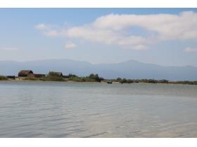 photo coins arrondis