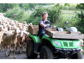 photo coins arrondis