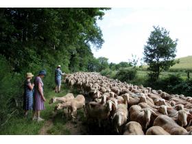 photo coins arrondis